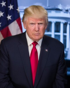 Verkiezingsuitslagen Donald Trump president spaarvarkensstaging.inwerker.dev
